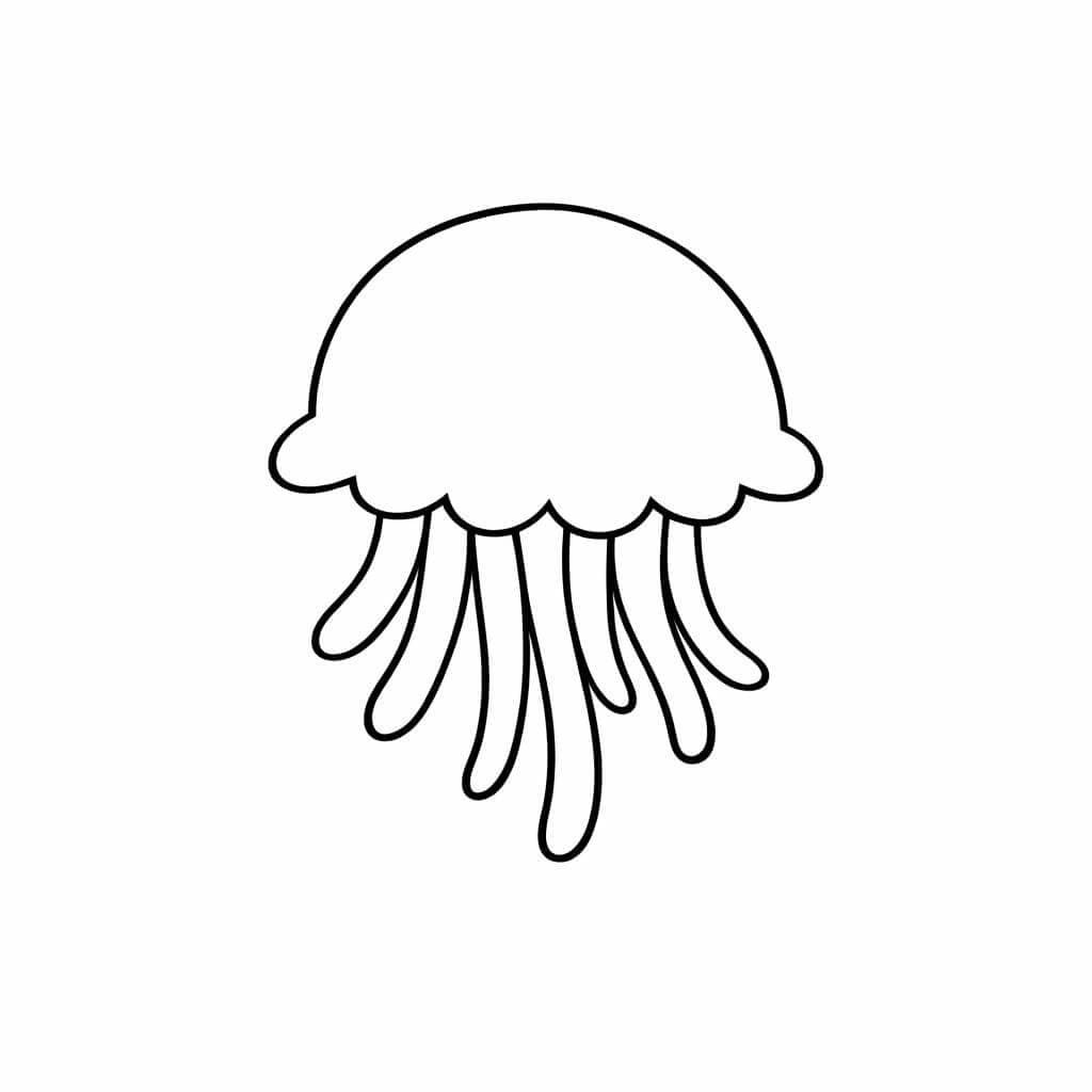 Água-viva com contorno simples para colorir