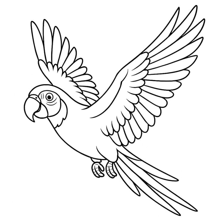 10 Desenhos de Arara para colorir e imprimir