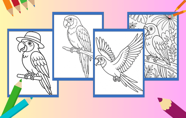 Desenhos de Arara para colorir