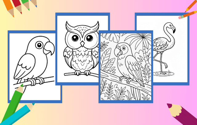 Aves Para Colorir