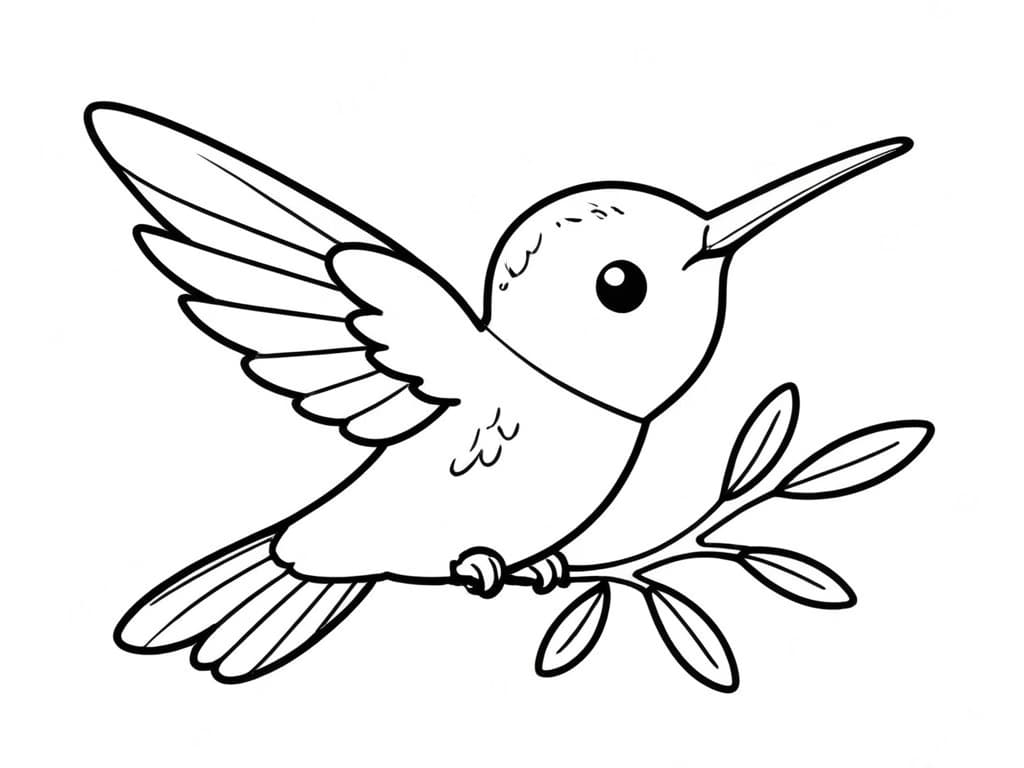 14 Desenhos de Beija-Flor para colorir