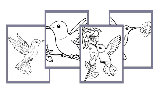 Desenhos de Beija-Flores para colorir