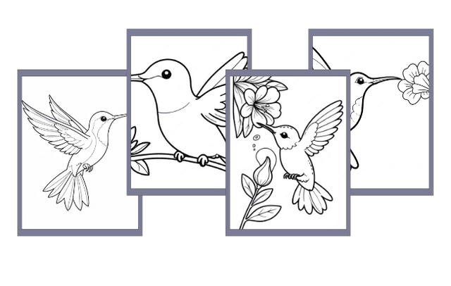 Desenhos de Beija-Flores para colorir