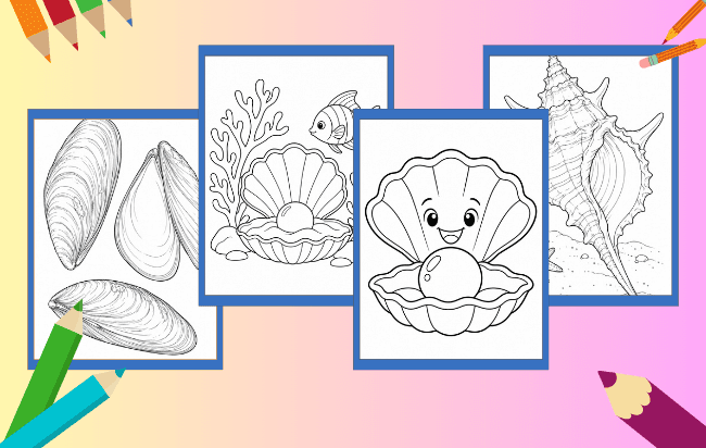 Concha para colorir