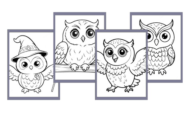 Desenhos de Coruja para colorir