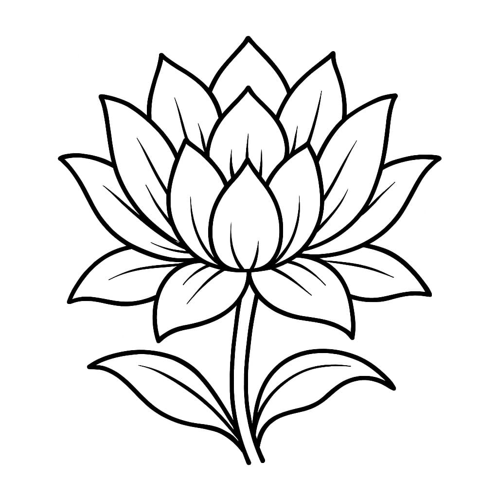 Flor de lótus para colorir