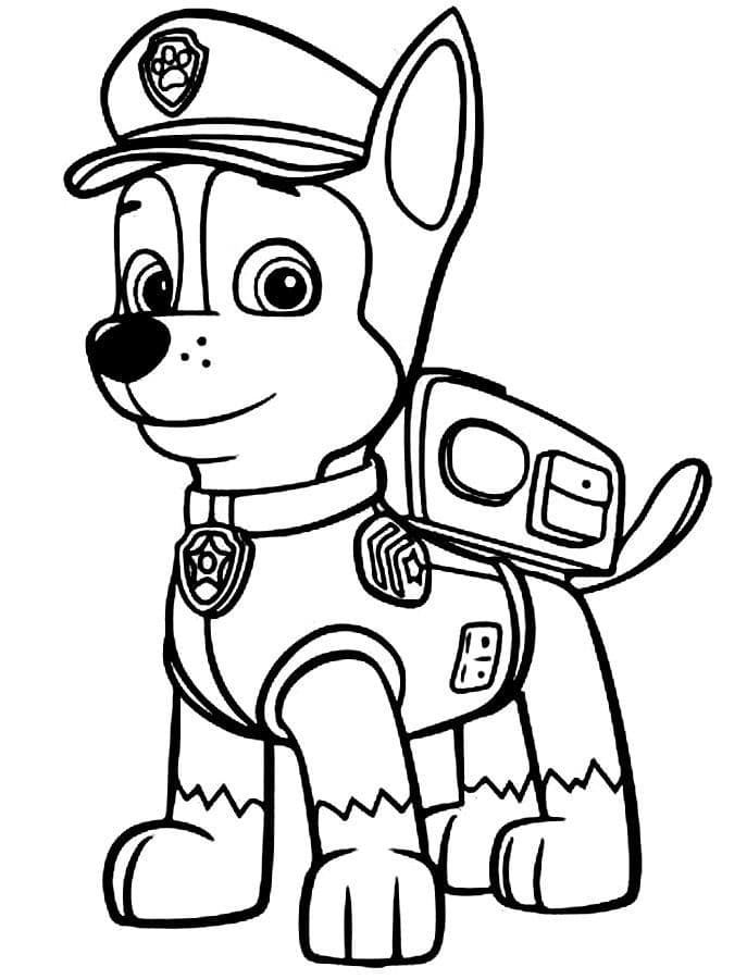 Chase da Patrulha Canina para colorir