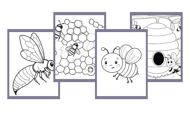 Desenhos de Abelha para colorir