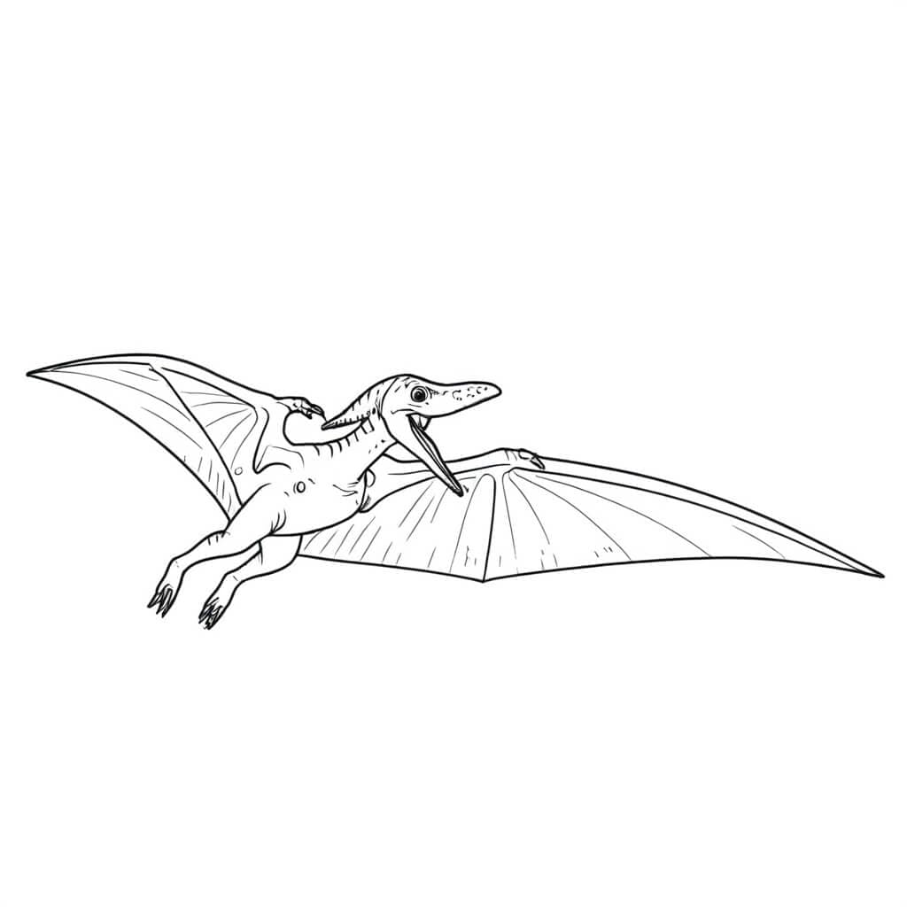 Pterodáctilo para colorir