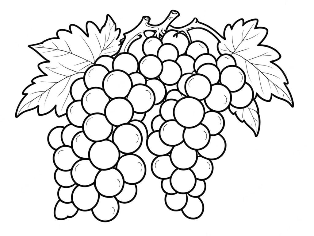 Uva para colorir