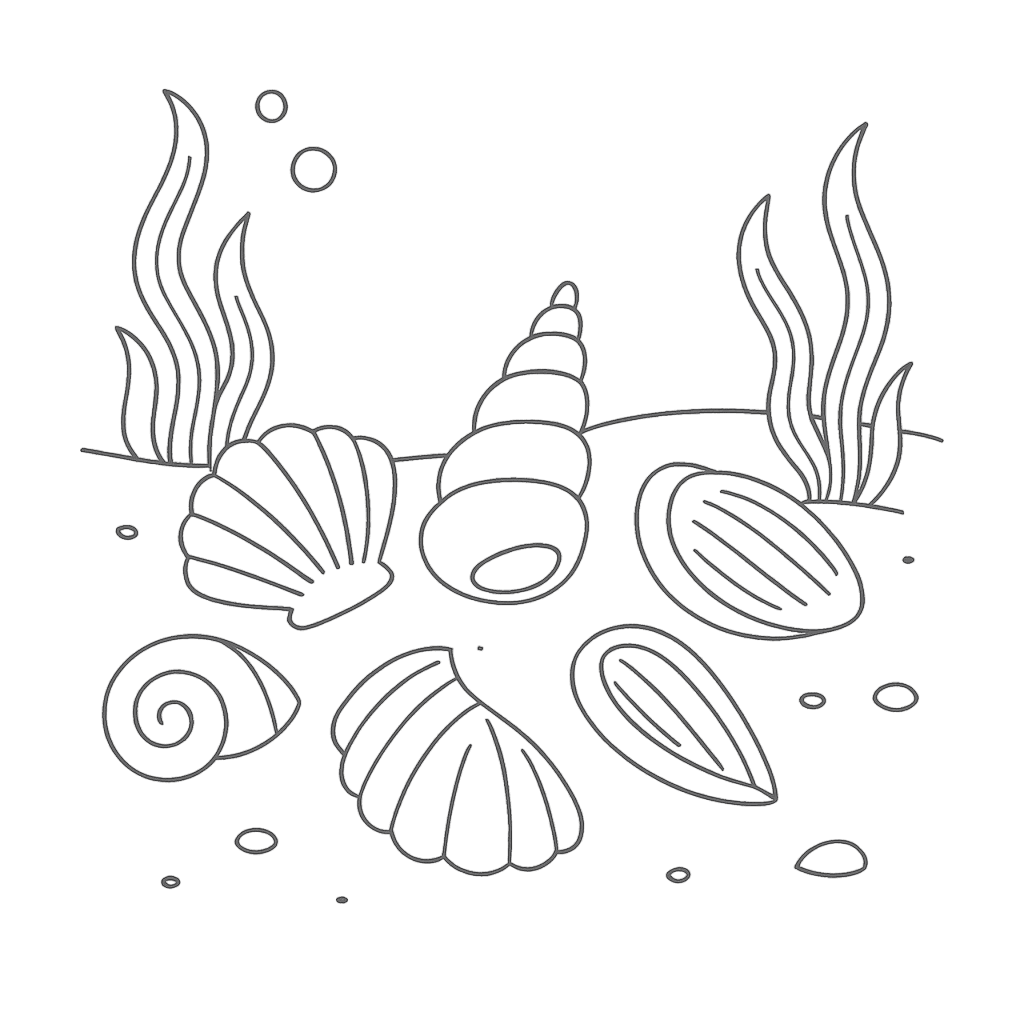 Conchas no fundo do mar para colorir