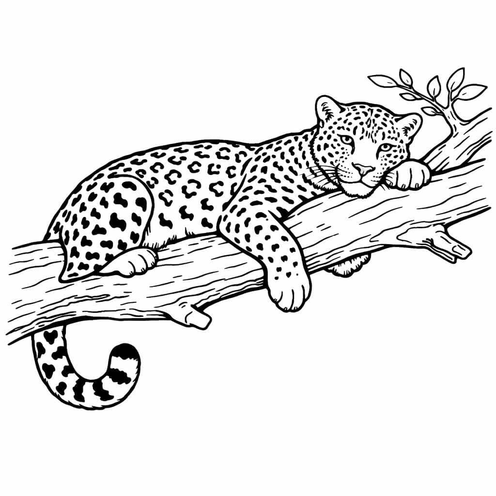 Leopardo na árvore para colorir