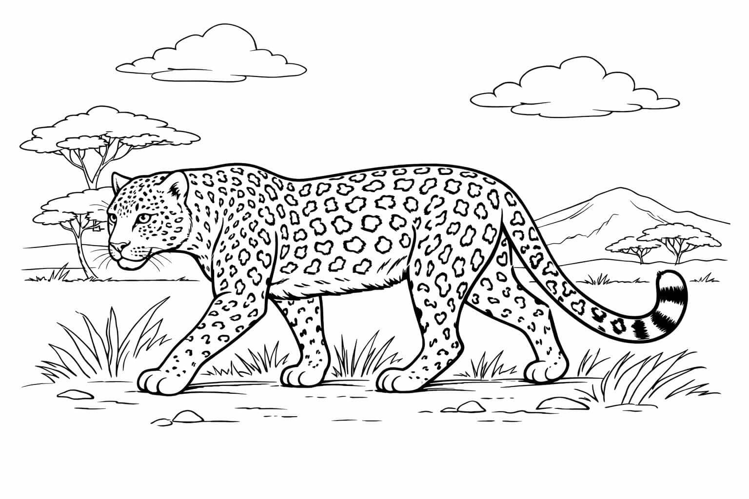 Leopardo para colorir