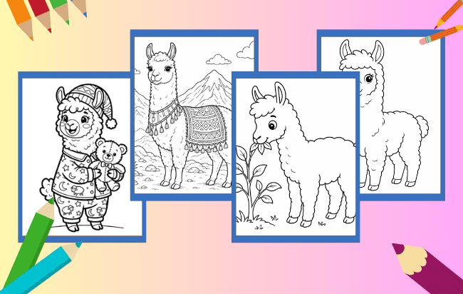 Lhama para Colorir