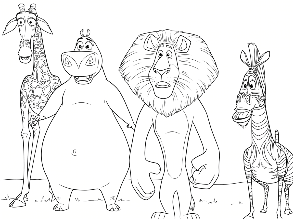 Melman, Gloria, Alex e Marty para colorir