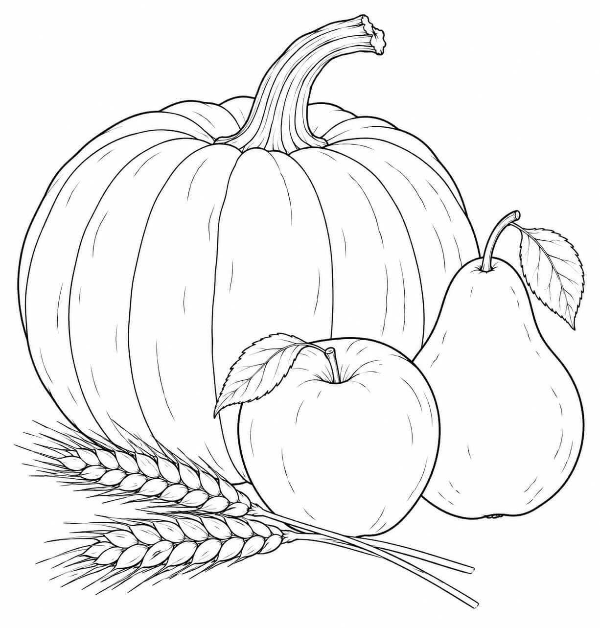 Abóbora com frutas da colheita realista para colorir