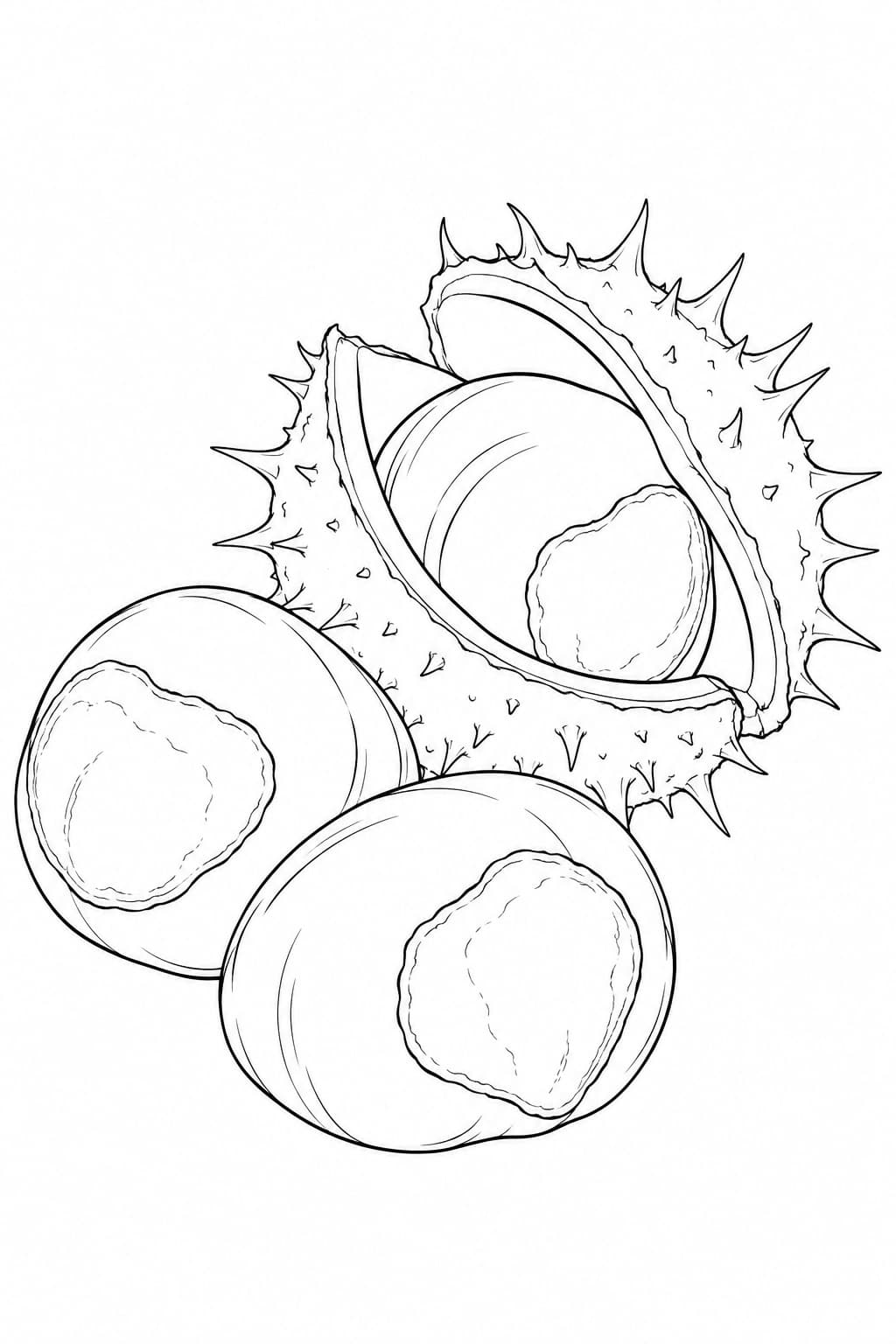 Castanhas com casca realistas para colorir