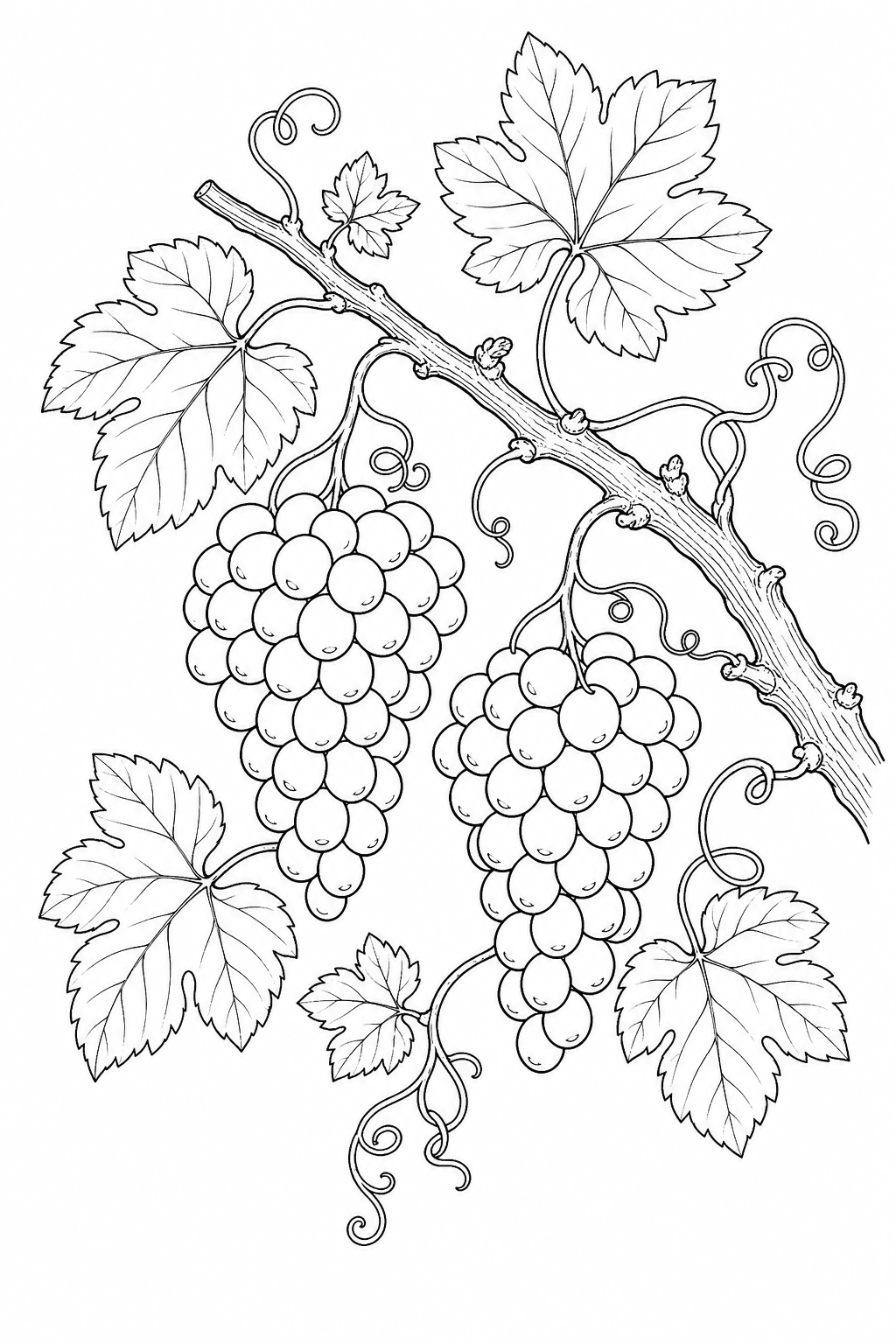 Parreira de uvas para colorir