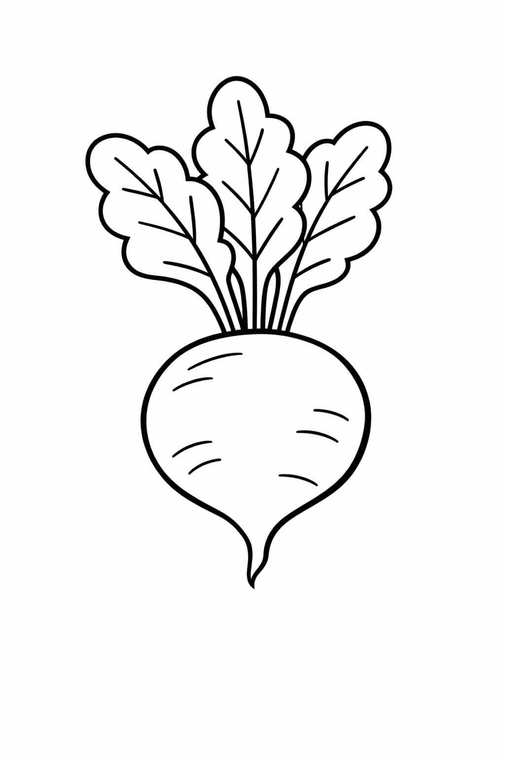 Beterraba para colorir