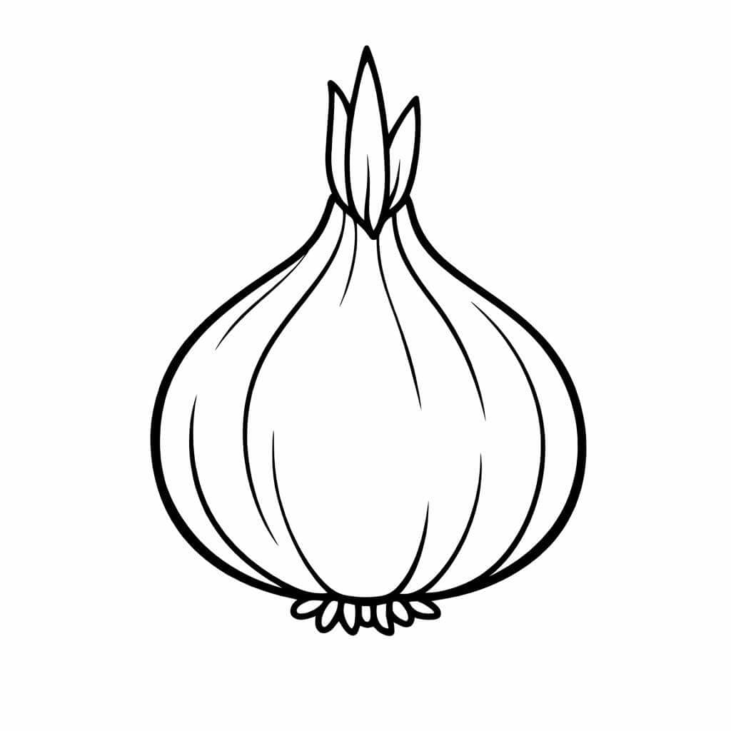 Cebola para colorir