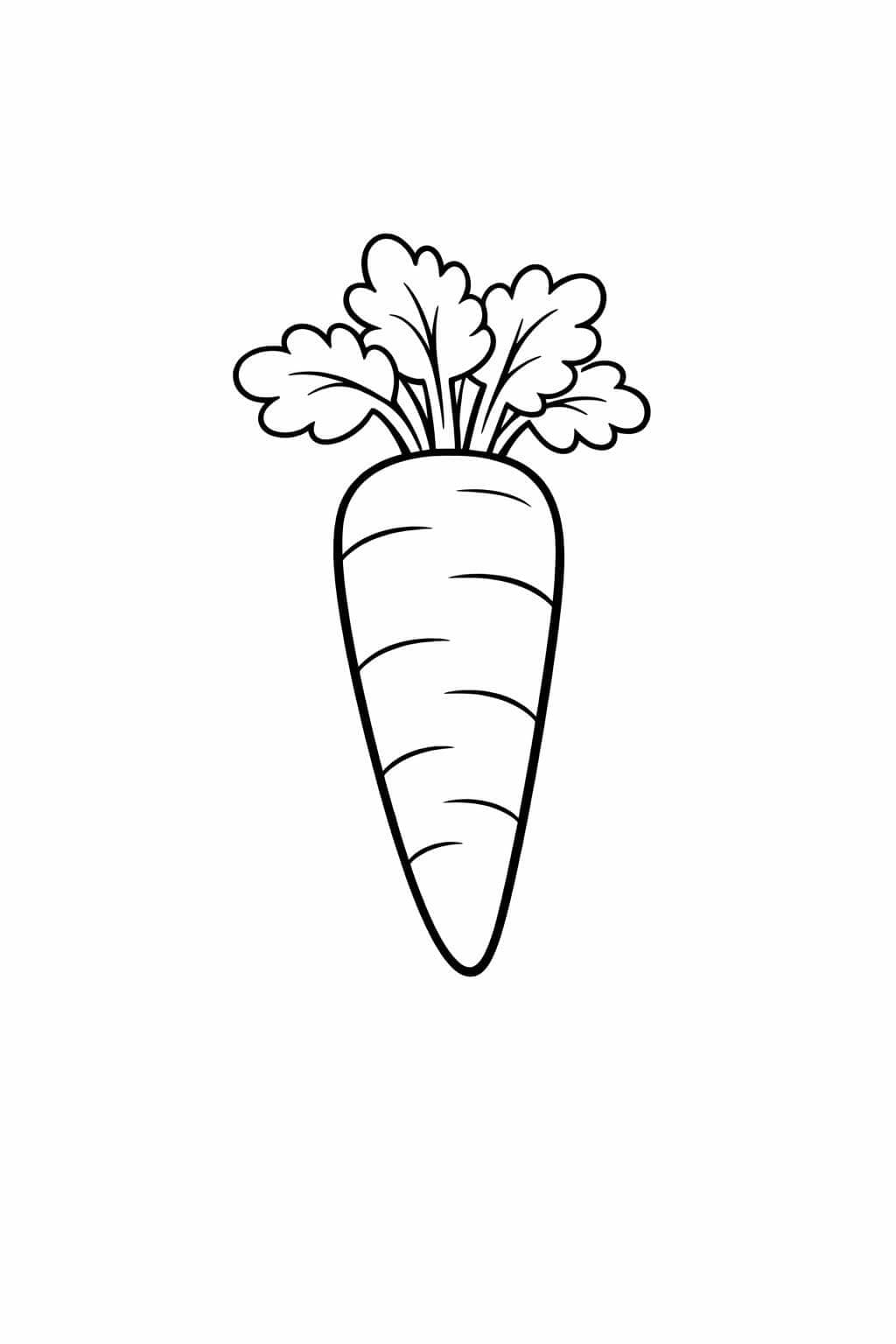 Cenoura para colorir