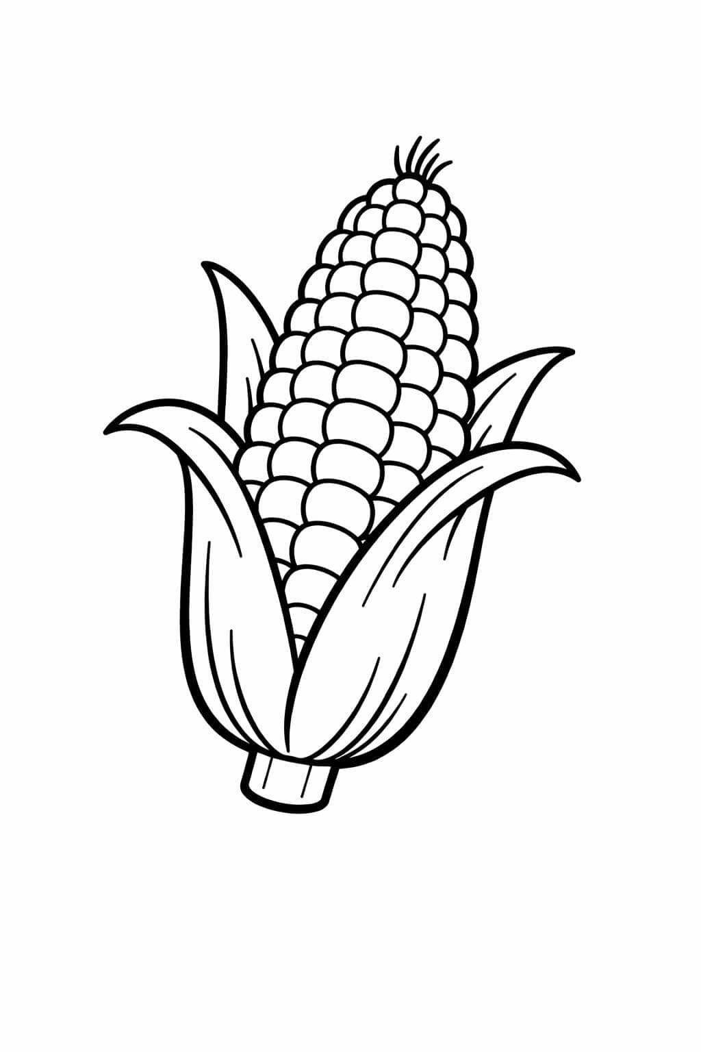 Milho para colorir
