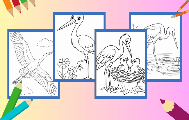 Cegonha para colorir