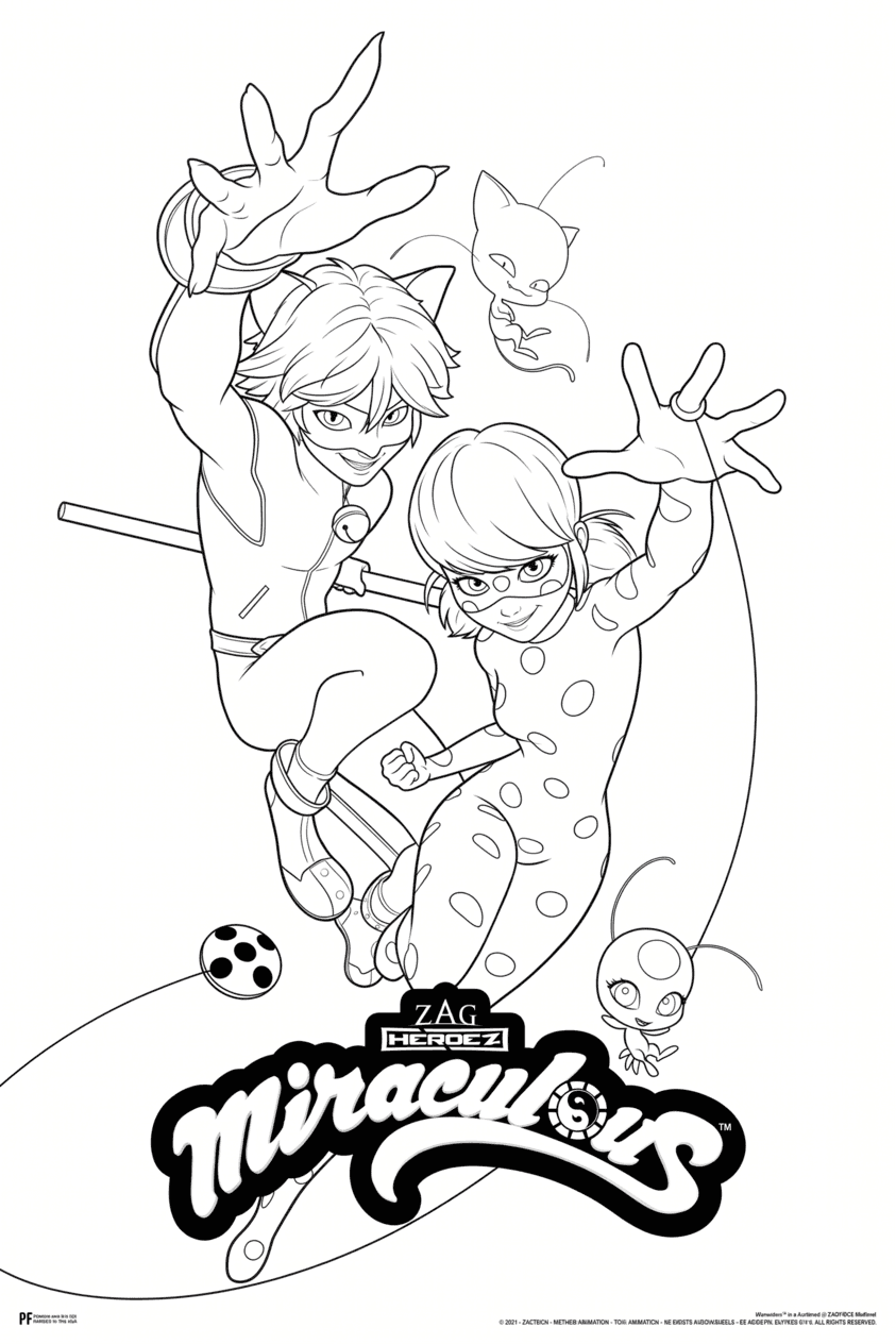Ladybug e Cat Noir para colorir