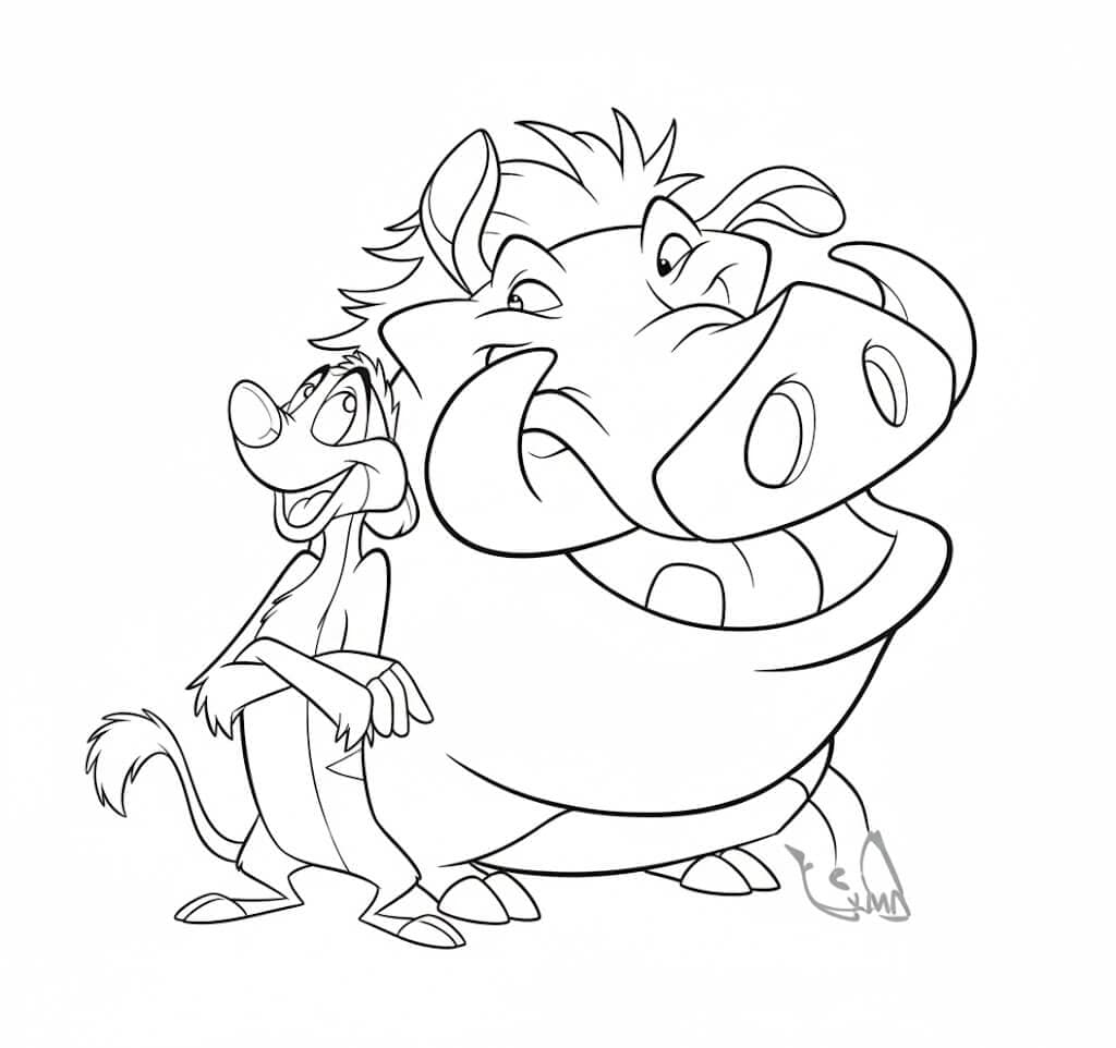 Timao e Pumba para colorir