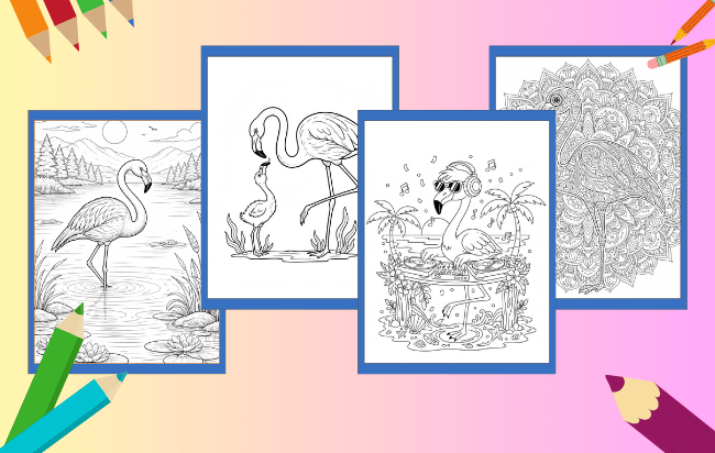 Desenhos de Flamingo para colorir