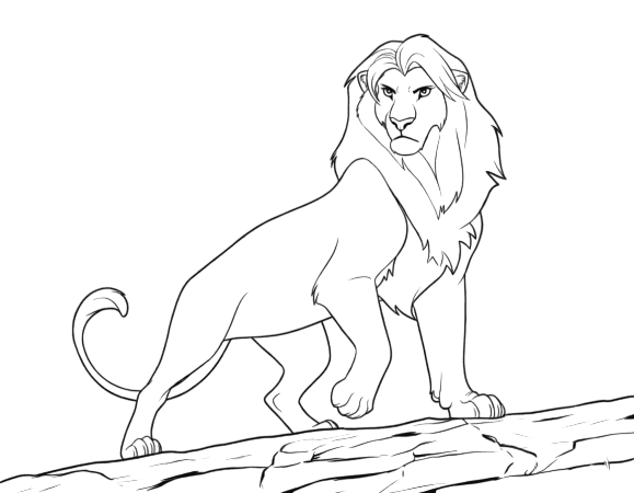 Simba adulto atento para colorir