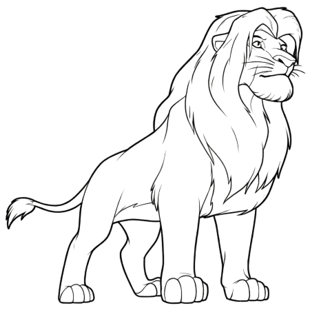 Simba adulto para colorir