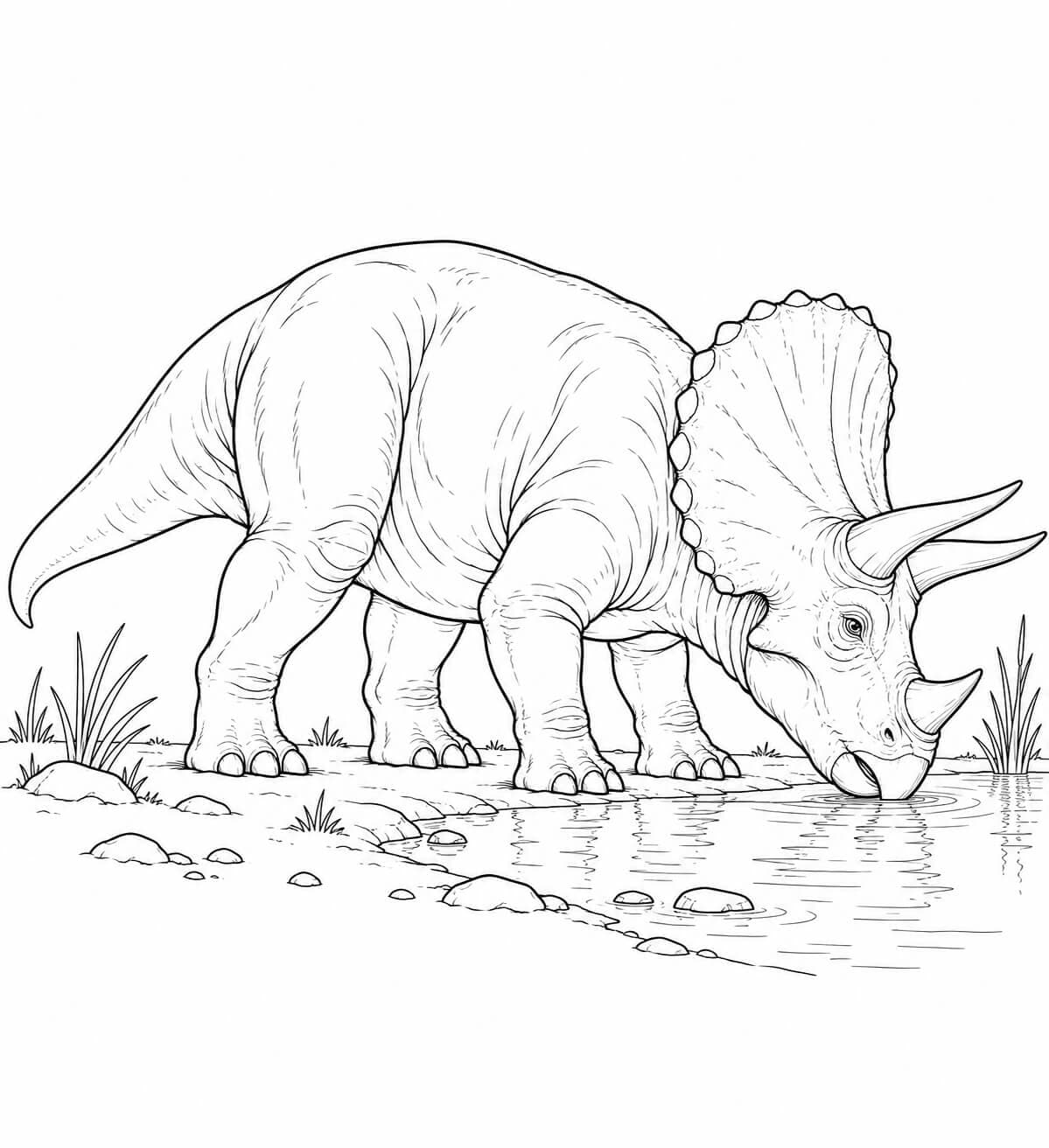 Tricerátops realista bebendo água para colorir