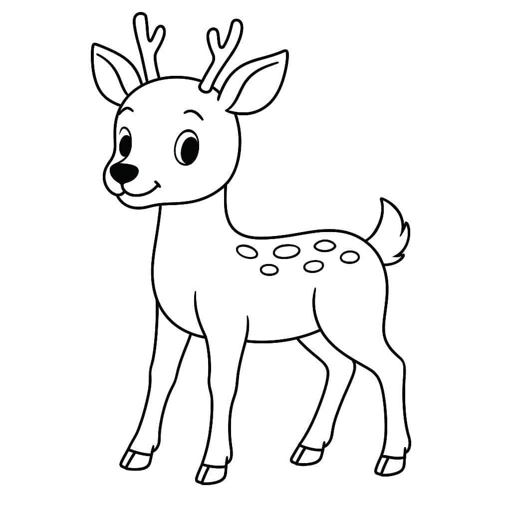Veado para colorir