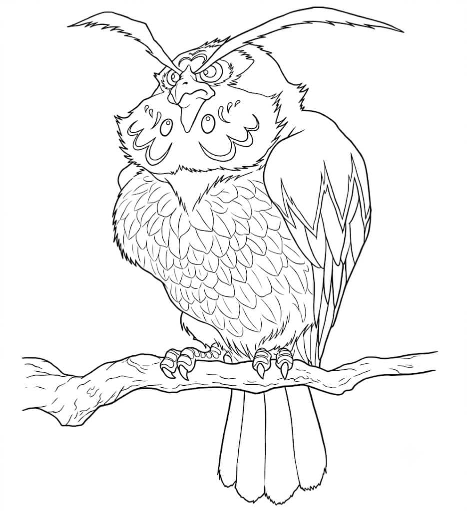 Kaepora Gaebora para colorir