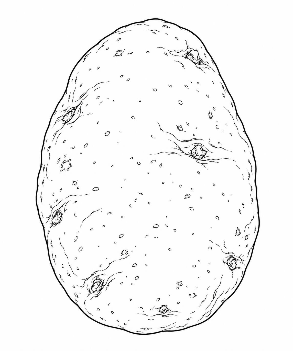 Batata realista para colorir para colorir