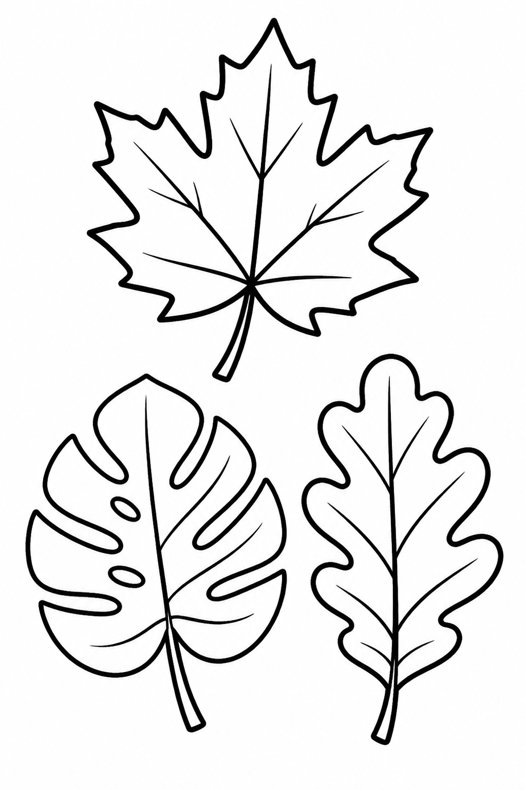 Tipos de folhas para colorir para colorir