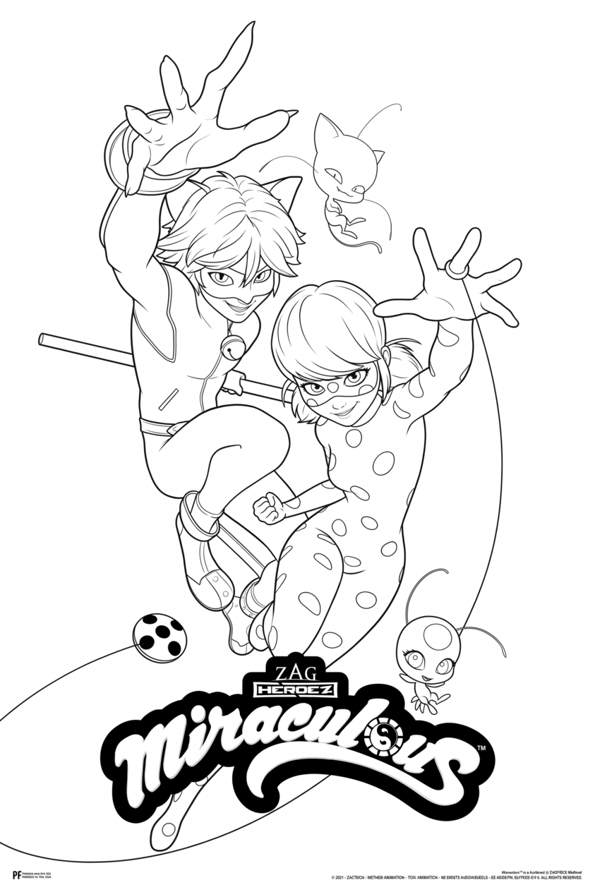 Ladybug e cat noir para colorir para colorir