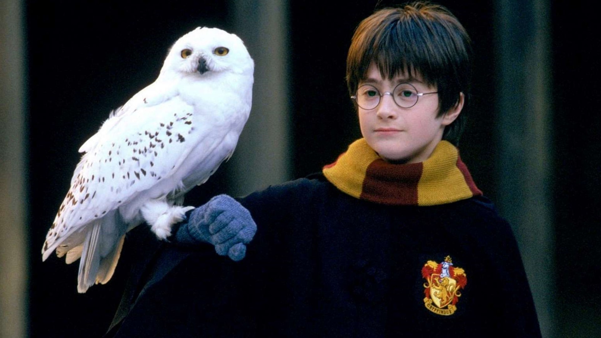 Harry Potter e Edwiges para quebra-cabeça